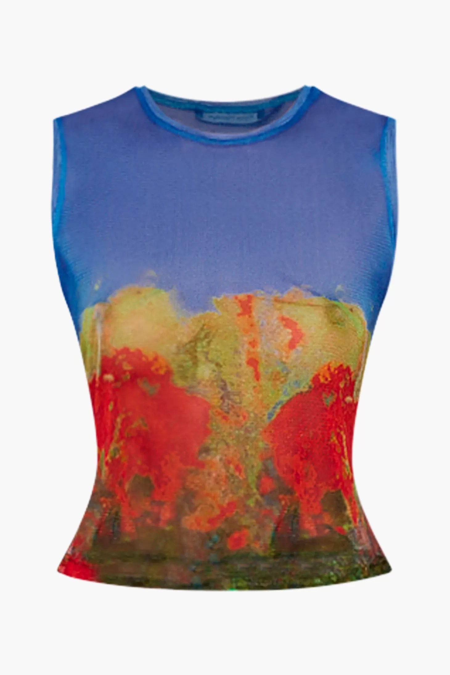 Tops<WYNN HAMLYN MESH TANK RoseField